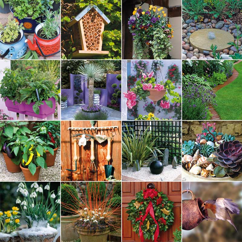 Seasonal Garden Ideas to add beauty to any garden all year round